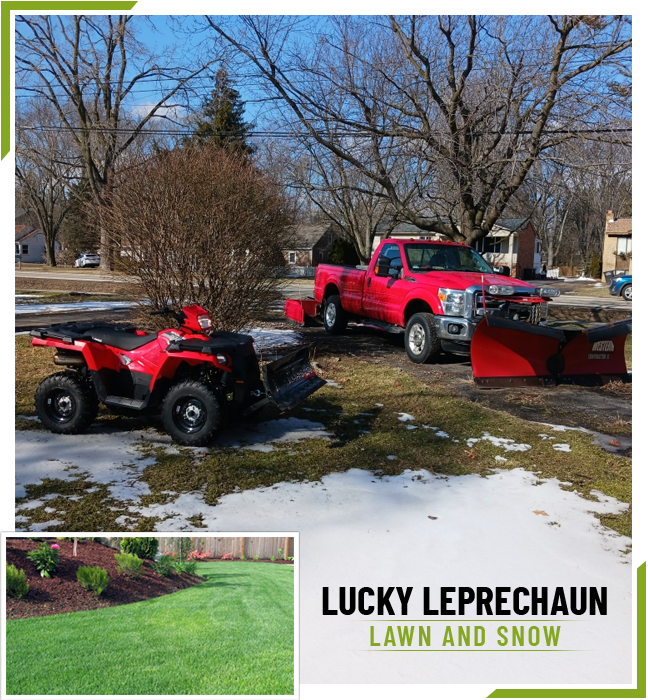 Lucky Leprechaun Lawn And Snow